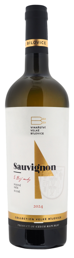 Sauvignon - pozdní sběr, 2024 suché